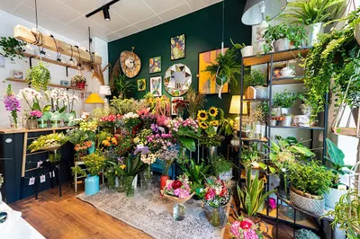 Floral Design Gdynia Kwiaciarnio - Kawiarnia